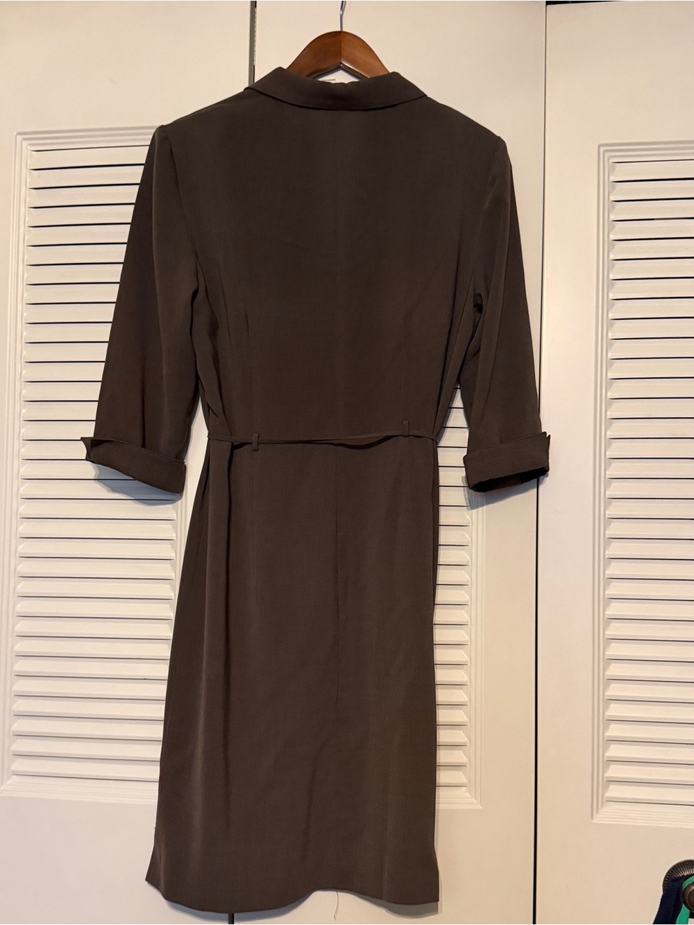 Button Up Dress - Picture 3 of 3